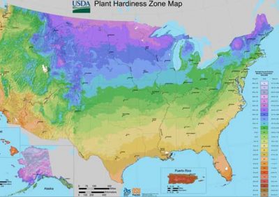 USDA Plant Hardiness Zone