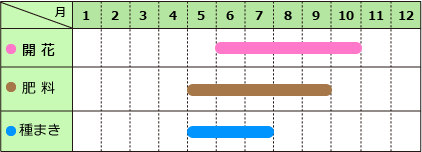 ノゲイトウの育て方